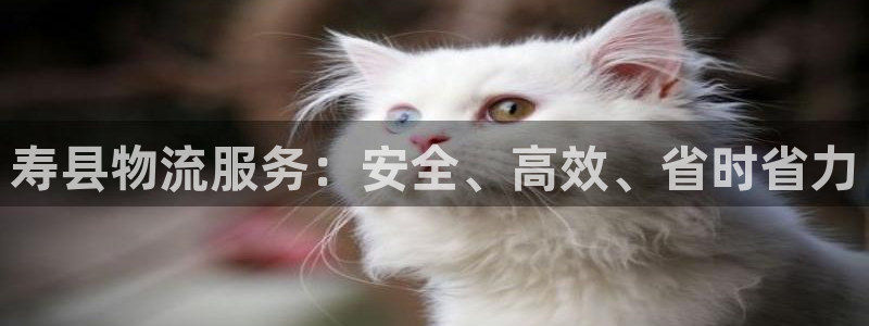 28圈绿骨头