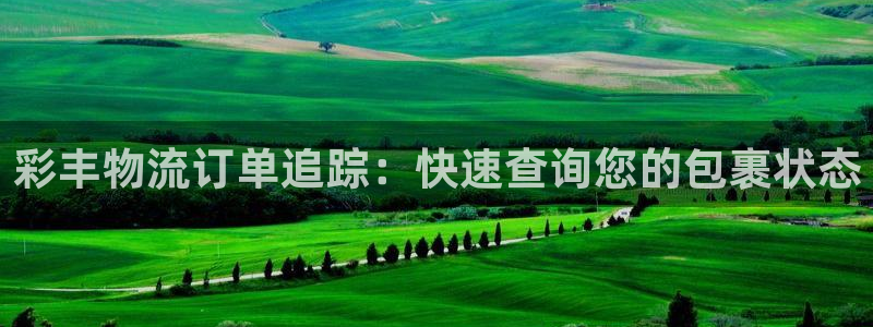 28圈二维码