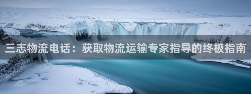 28圈开奖预测