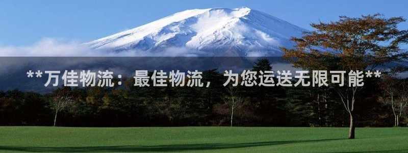 28圈注册登录：**万佳物流：最佳物