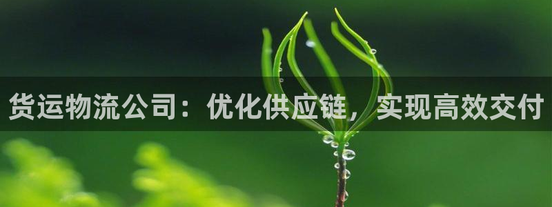 28圈模拟器在线使用：货运物流公司：