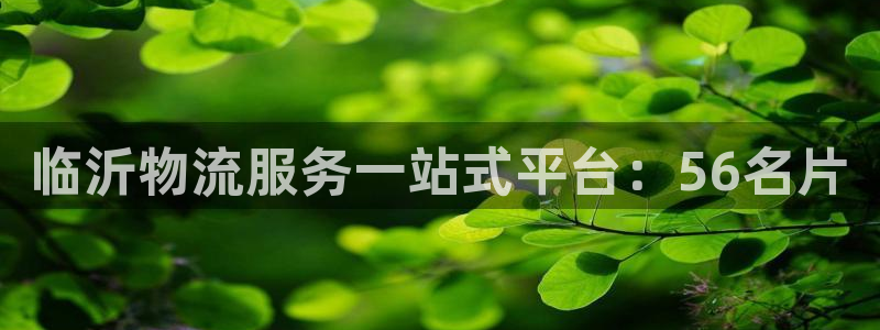28圈加拿大是什么意思：临沂物流服务