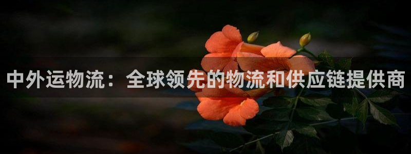 28圈注册网址：中外运物流：全球领先