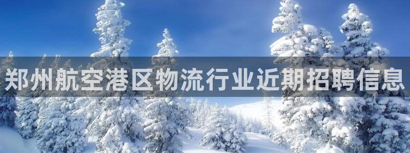 28圈游戏最新版：郑州航空港区物流行