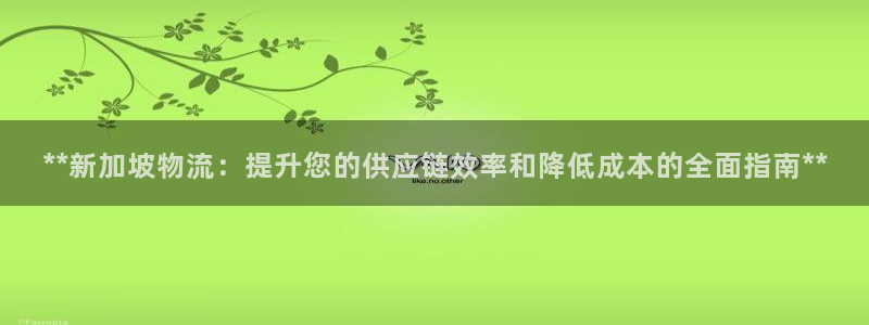 28圈.ccm2024：**新加坡物