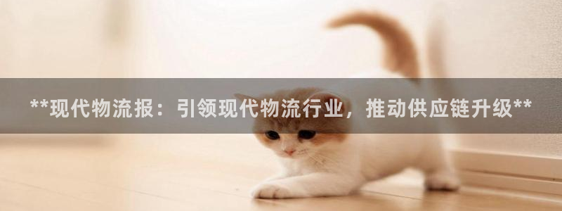 28圈注册步骤：**现代物流报：引领