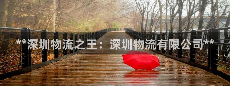 28圈是啥：**深圳物流之王：深圳物