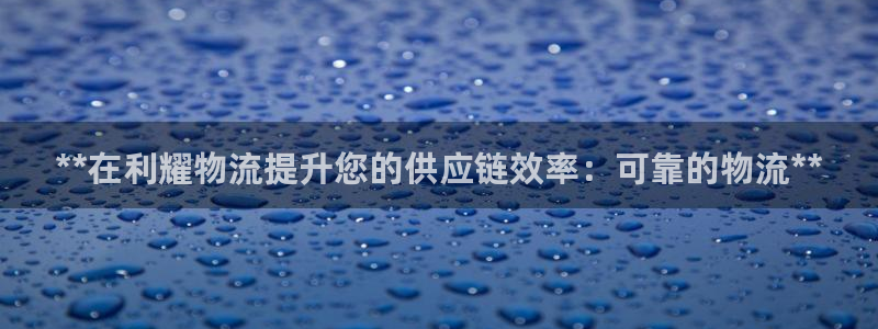 28圈模拟器在线玩：**在利耀物流提