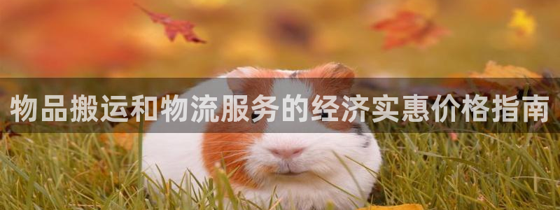 28圈怎么注册：物品搬运和物流服务的