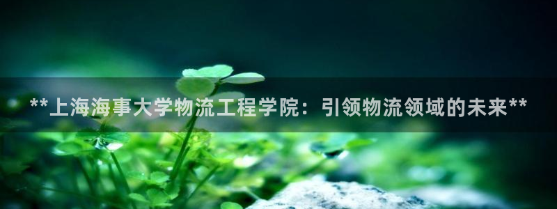 28圈里的财神：**上海海事大学物流
