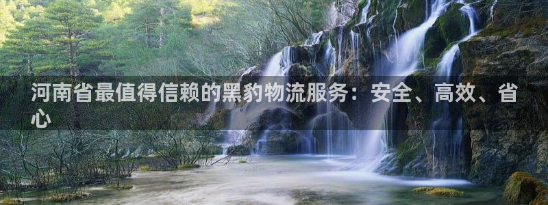 28圈辅助：河南省最值得信赖的黑豹物