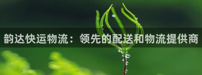 28圈口：韵达快运物流：领先的配送和