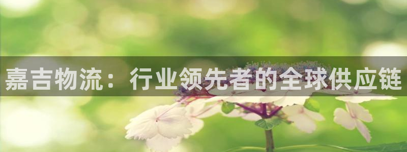 28圈初始资金密码在哪里改：嘉吉物流