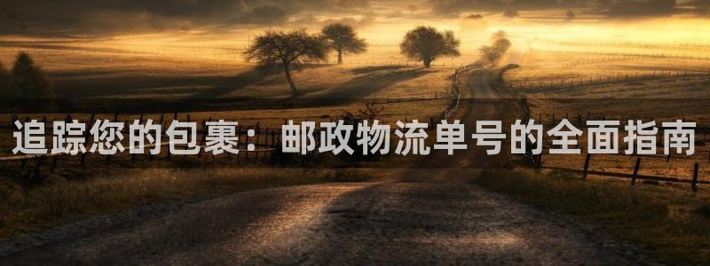 28圈注册登录：追踪您的包裹：邮政物