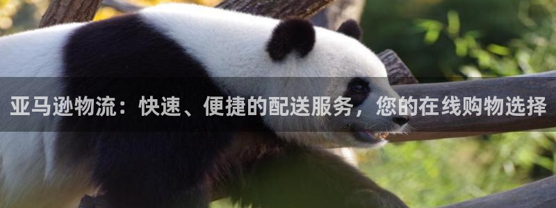 28圈麻将：亚马逊物流：快速、便捷的