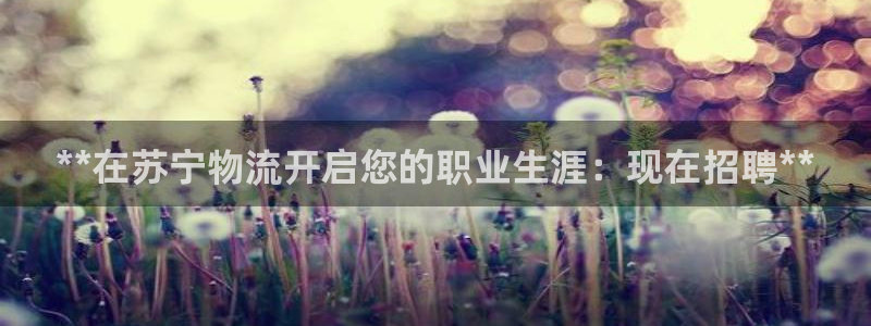 28圈如何看计划：**在苏宁物流开启
