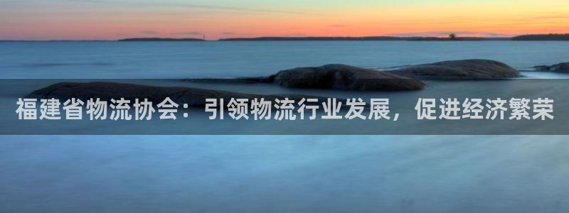 28圈模拟器：福建省物流协会：引领物