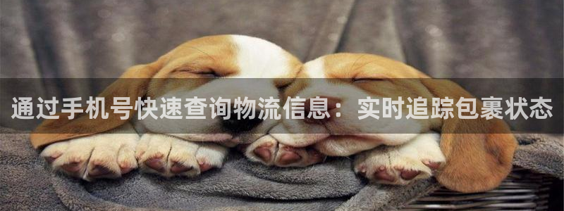 28圈v6能卖多少