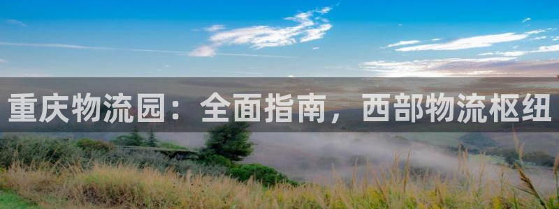 28圈免费：重庆物流园：全面指南，西