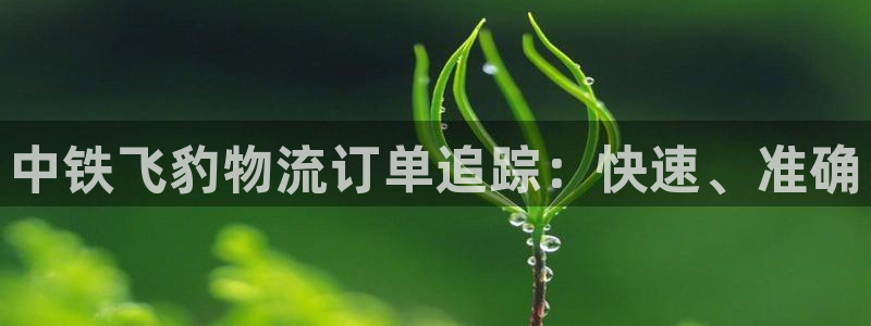 28圈ccm游戏：中铁飞豹物流订单追