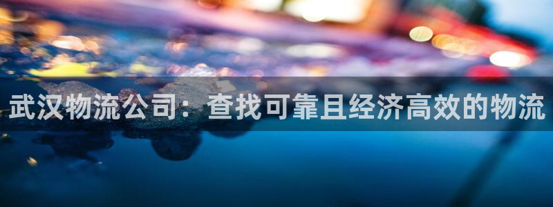 28圈加拿大模拟器：武汉物流公司：查