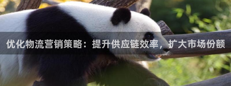 28圈官网下载链接是什么：优化物流营