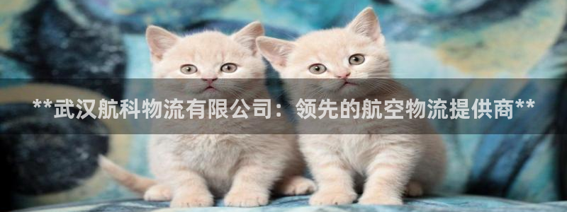 加拿大28圈是什么：**武汉航科物流