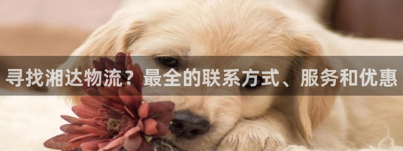 28圈比特28真实吗