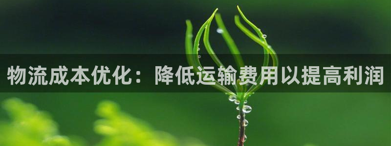 28圈怎么下载教程：物流成本优化：降