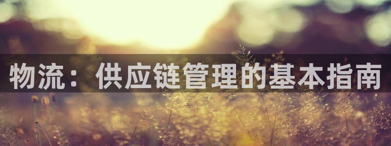 28圈相信品牌的力量：物流：供应链管