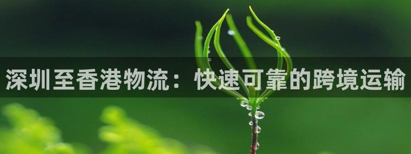 28圈忘记账号