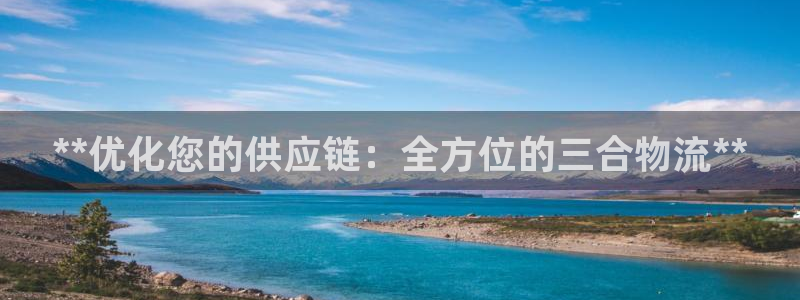 28圈激活码：**优化您的供应链：全