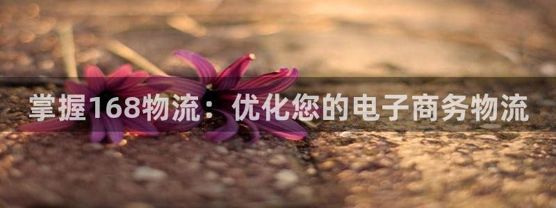 28圈能退款吗：掌握168物流：优化
