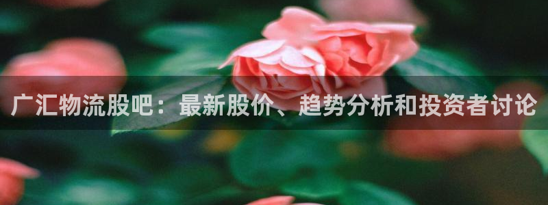 28圈v6能卖多少