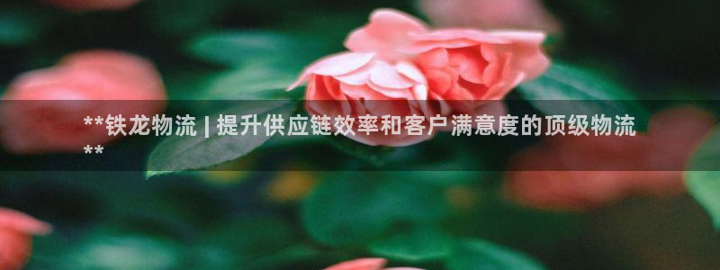 28圈客服电话