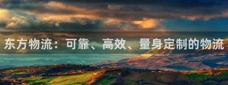 28圈初始资金密码是什么：东方物流：