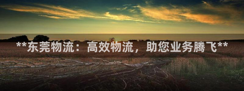 28圈p图上分下款通道：**东莞物流
