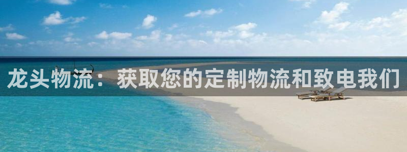 28圈p扣款什么意思：龙头物流：获取