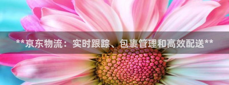 28圈充值不到账