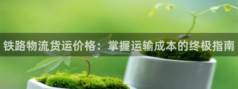 28圈模拟：铁路物流货运价格：掌握运