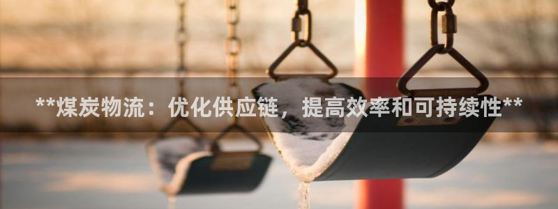 28圈现在狂杀：**煤炭物流：优化供