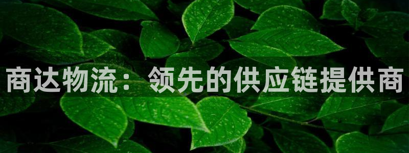 28圈预测：商达物流：领先的供应链提