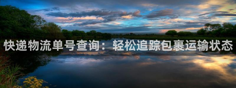 28圈加拿大能提现吗：快递物流单号查