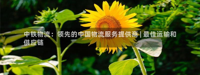 28圈怎么申请代理：中铁物流：领先的