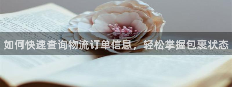 加拿大28圈注册链接：如何快速查询物