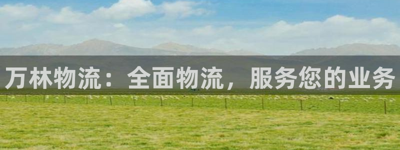 28圈登录用户名登录不上：万林物流：