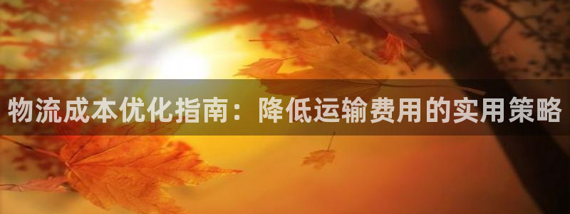 28圈pg麻将胡了2老是空转：物流成