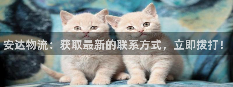 28圈赌博软件正规吗：安达物流：获取