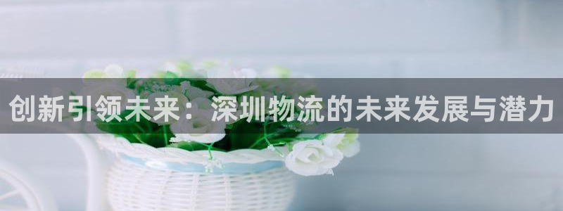 28圈的平台