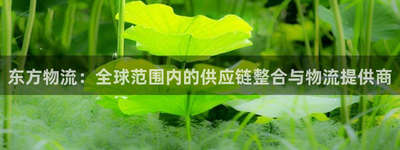 28圈防失联网址
